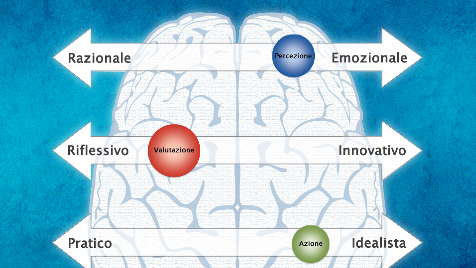 Brain Profile